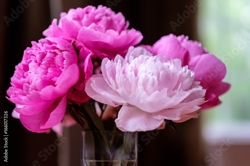 Fototapeta Naklejka Na Ścianę i Meble -  Pink Peony Flowers