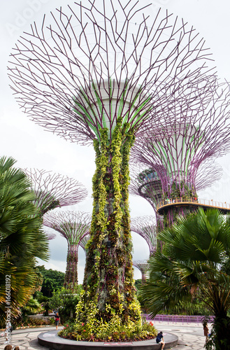 Jardin public a Singapour