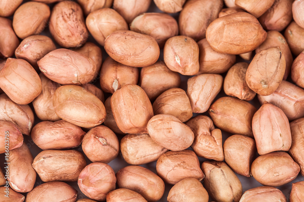 ground nut or peanut on black background ground nut or peanut on black background