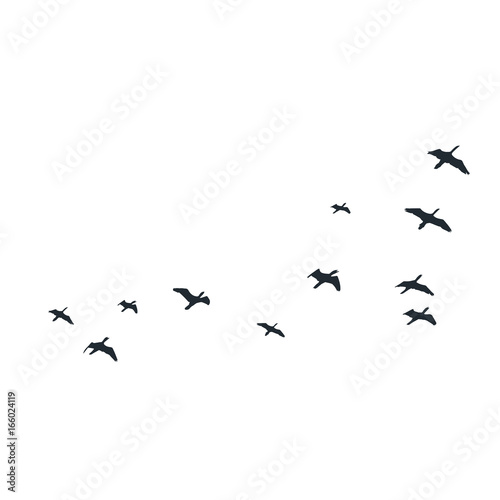 Flying birds silhouettes on white background. Vector illustration. isolated bird flying.