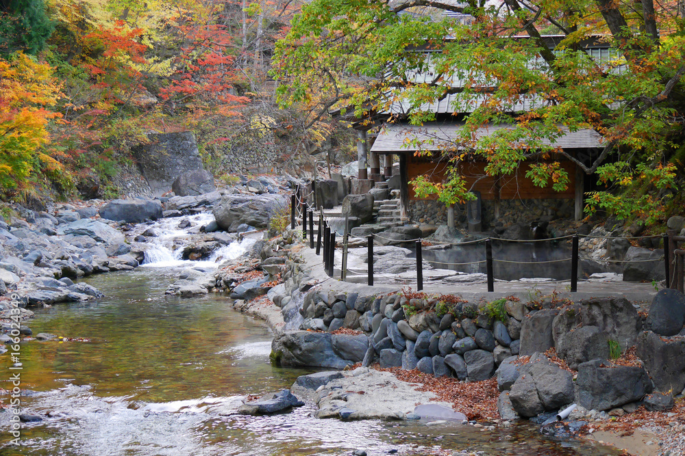 Fototapeta premium Takaragawa onsen gorące źródło z kolorowymi drzewami jesienią, Japonia
