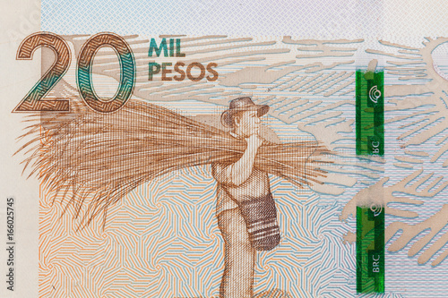 Farmer carrying Gynerium sagittatum on the twenty thousand Colombian pesos bill photo