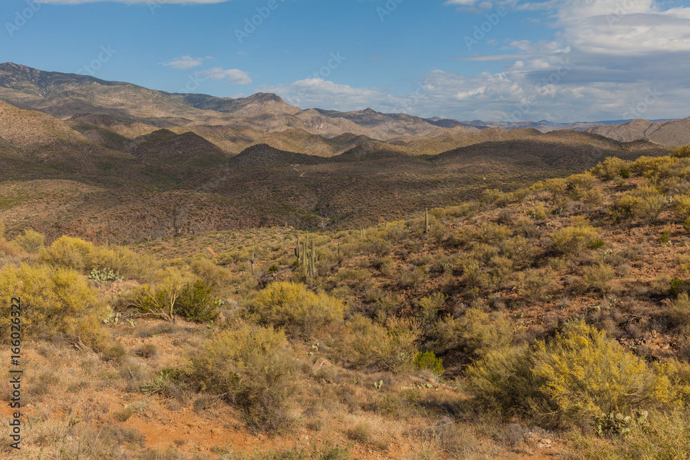 Scenic Arizona Desert Landscape Scenic Arizona Desert Landscape