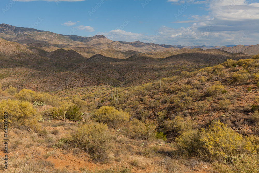 Scenic Arizona Desert Landscape