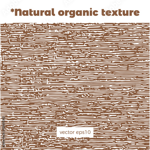 Natural organic texture and background for creation of eco pattern template of the bio banner, backdrop for ecology brand identity and label cosmetics minimalistic design.
