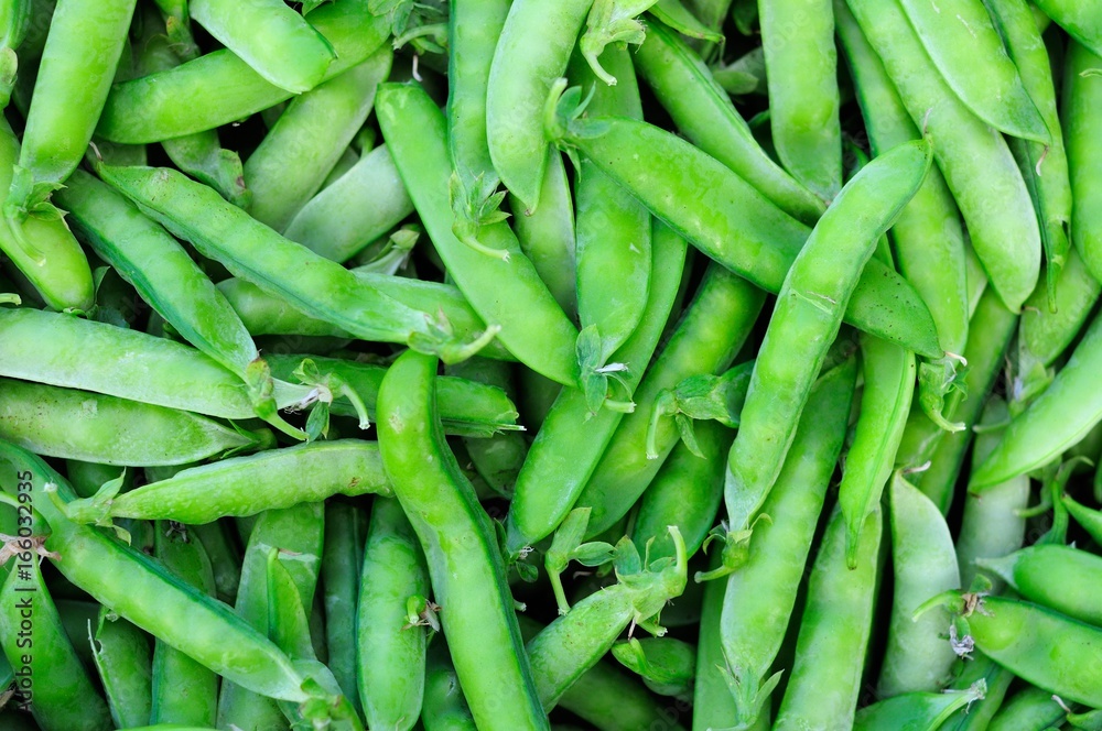 Green peas in pods