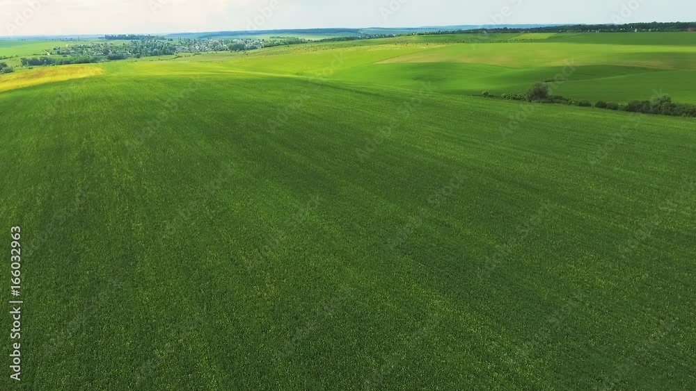 Amazing aerial view over the wheatfields, plantings and meadow Amazing aerial view over the wheatfields, plantings and meadow