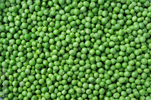 Green pea photo