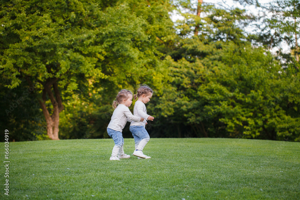 Identical twin girls walking on a grass in a park Identical twin girls walking on a grass in a park