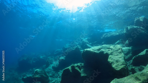 natural underwater background  © Photobank
