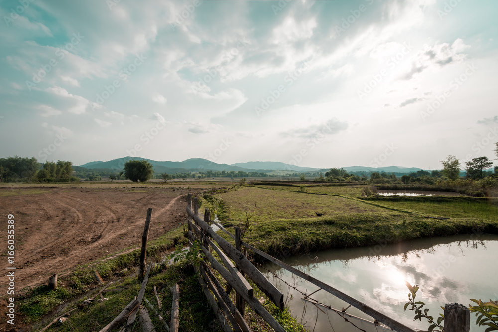 Pre-Planting field of rice in urban