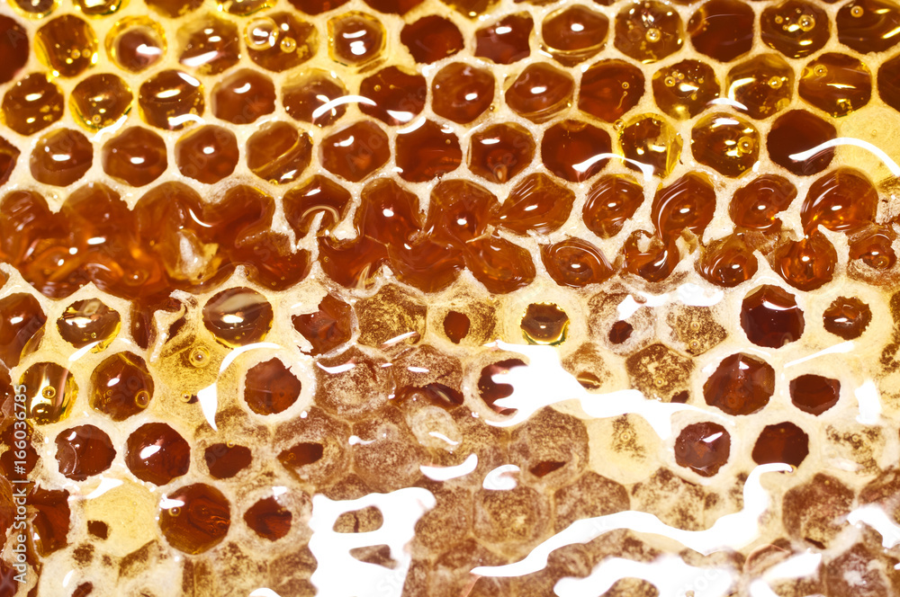 Honeycomb with honey in closeup. Honeycomb with honey in closeup.