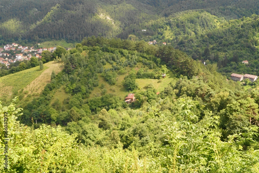 Summer landscape in Brasov, Romania