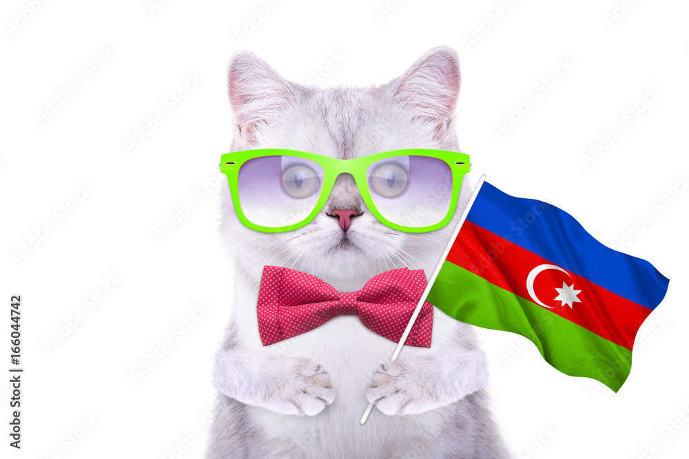 Fototapeta premium Beautiful British cat with the flag. Language School. Flags of the world. Flags of countries