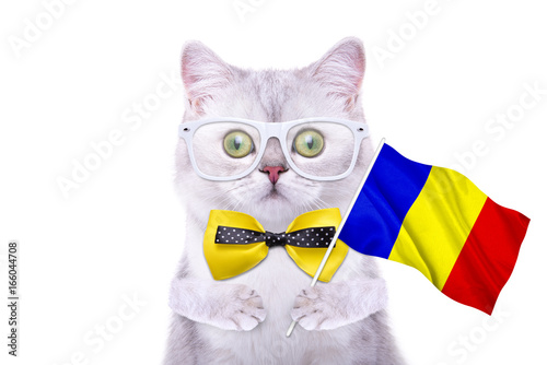 Beautiful British cat with the flag. Language School. Flags of the world. Flags of countries