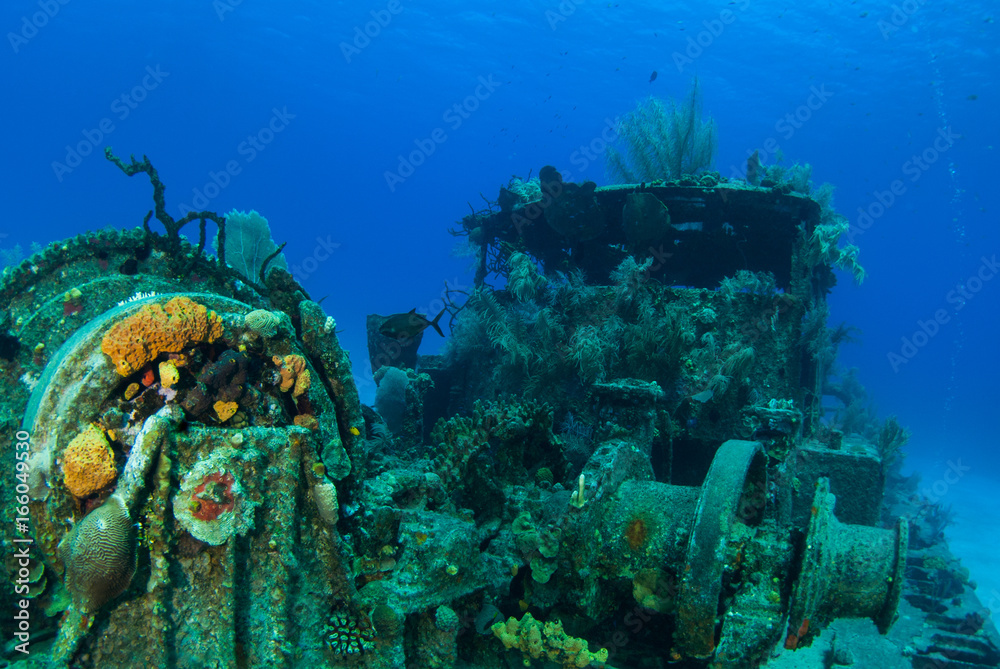 The wreck of the Doc poulson in Grand Cayman is an artificial reef and