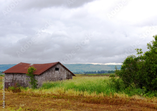 Old shack in the field-Stock Photos