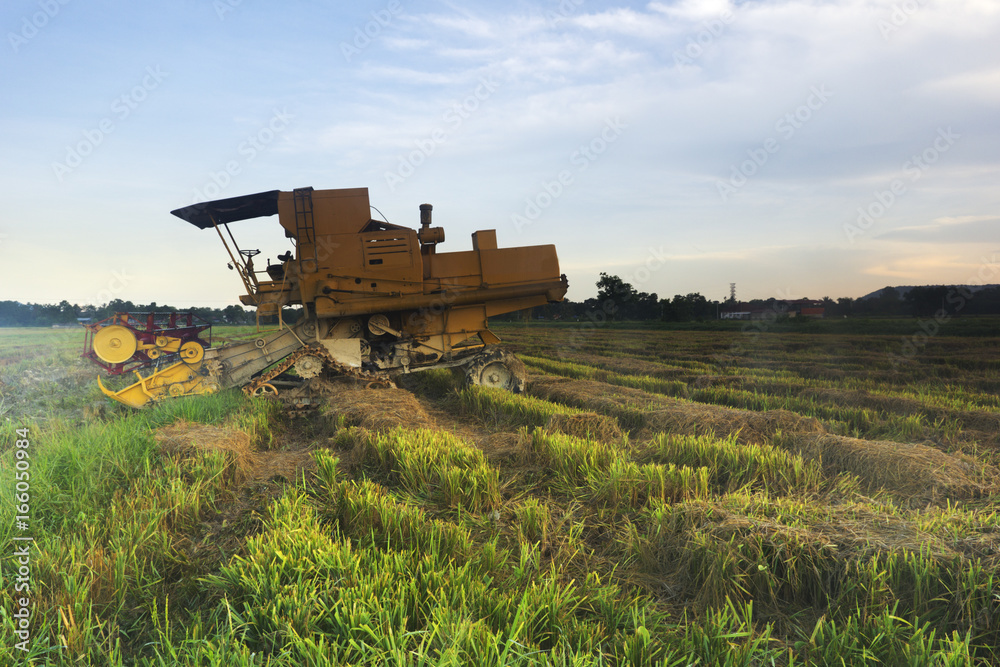 Fototapeta premium Tractor preparing land for the next phase of seeding and cultivation.