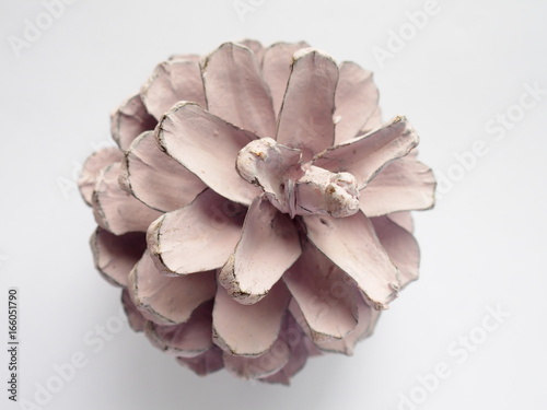 painted blush color pine cone on white background