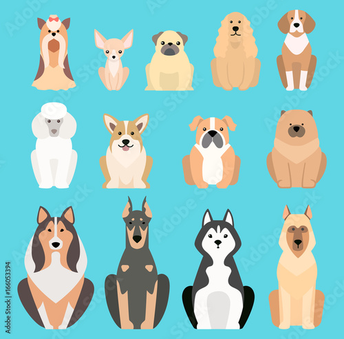 Different dogs breed isolated vector illustration silhouette pet puppy animals icons