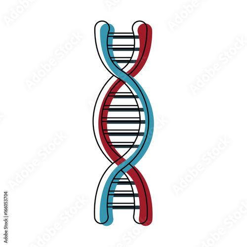 dna molecule structure science genetic structure