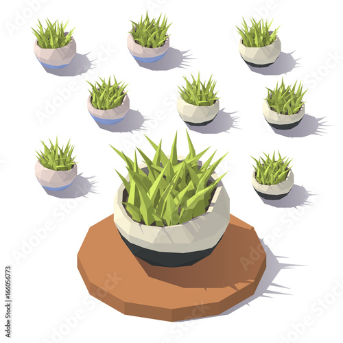 Vector low poly potted grass
