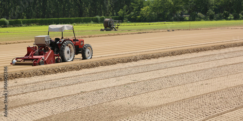 Field cultivated with lettuce and tractor during sowing of littl