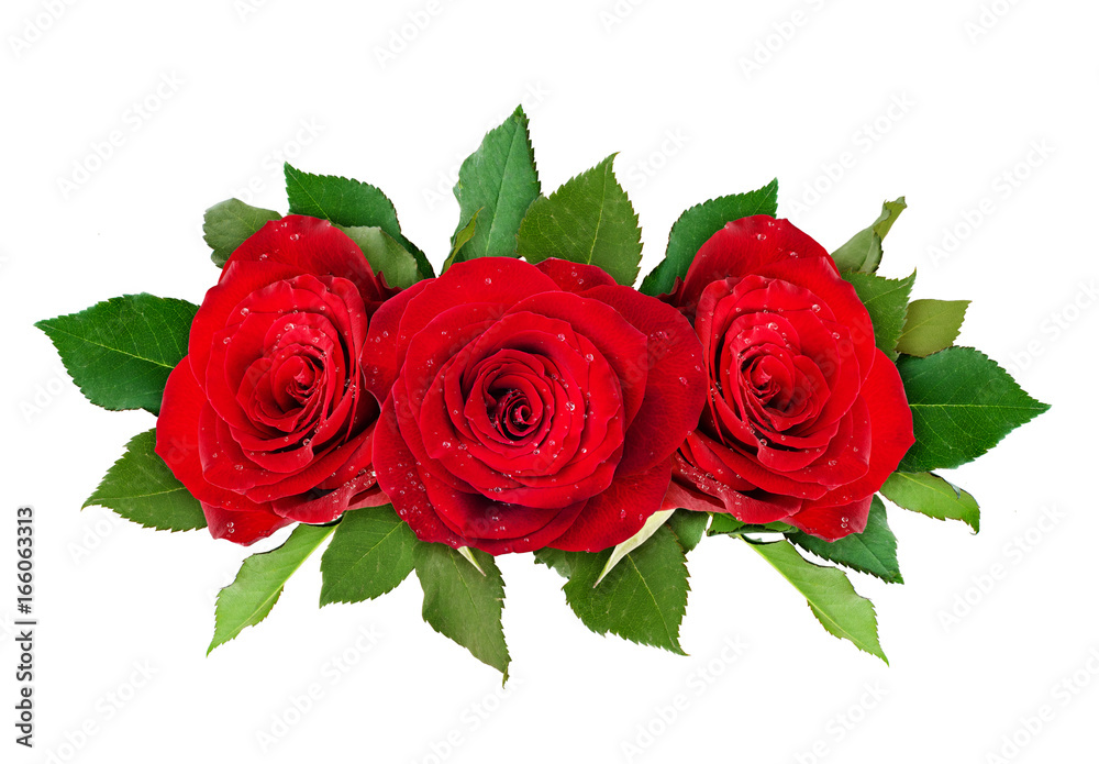 Obraz premium Red rose flowers arrangement
