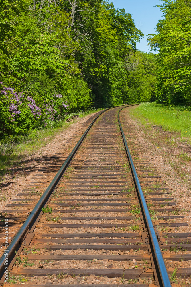 Fototapeta premium Railway rail in a deciduous forest