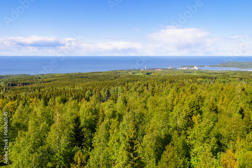 Aerial view of a forest and with a large lake