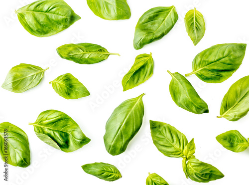 Basil leaves on white background. Top view.