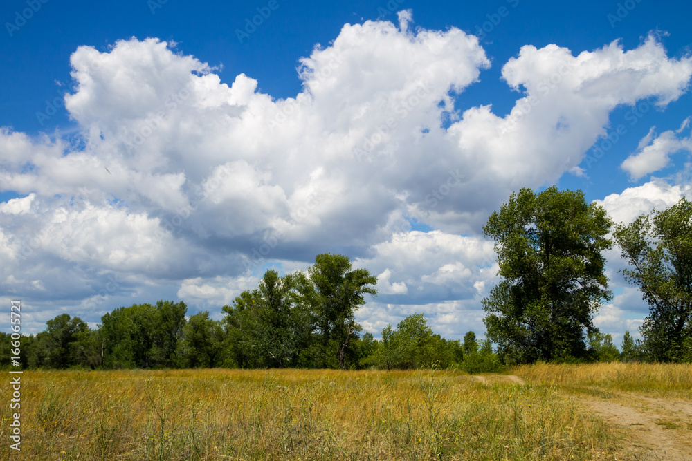 Summer landscape with green trees, meadow and blue sky Summer landscape with green trees, meadow and blue sky