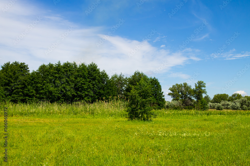 Summer landscape with green trees, meadow and blue sky Summer landscape with green trees, meadow and blue sky