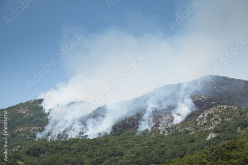 Huge forest fires on the mountains close to Herceg Novi and the bay of Kotor in Montenegro 