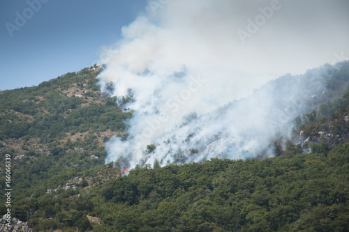 Huge forest fires on the mountains close to Herceg Novi and the bay of Kotor in Montenegro 