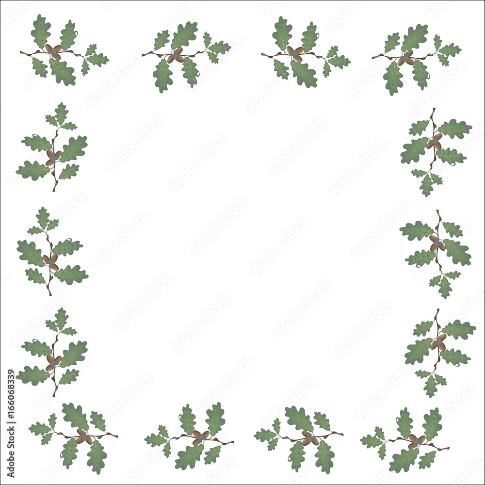 Green branches of oak with acorns in the form of a frame. Volumetric drawing without a grid and a gradient. Isolated on white background. illustration Green branches of oak with acorns in the form of a frame. Volumetric drawing without a grid and a gradient. Isolated on white background. illustration