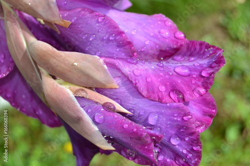 GOUTTE D'EAU-AQUA