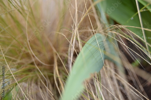GOUTTE D'EAU-AQUA