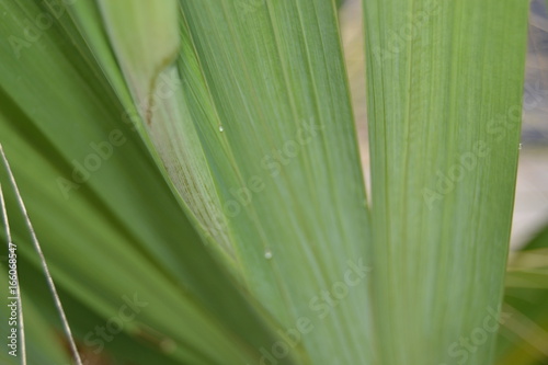 GOUTTE D'EAU-AQUA
