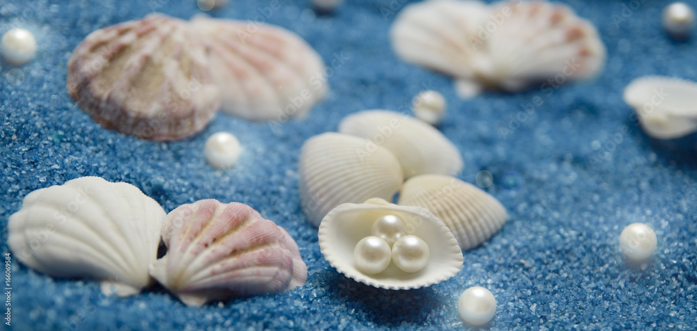 pearls and shells on blue sand