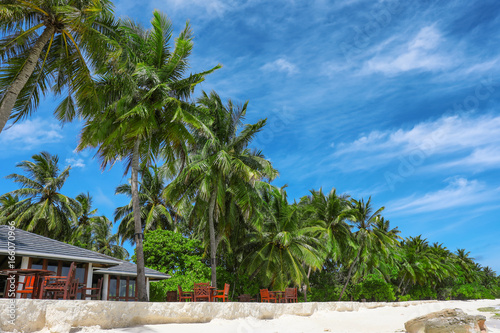 Beach with beautiful tropical palms at resort