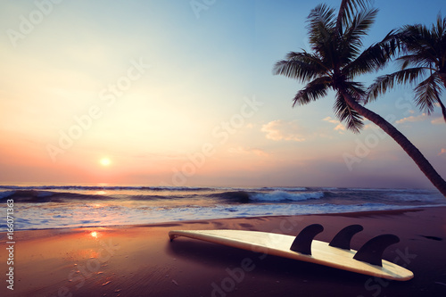 Fototapeta Naklejka Na Ścianę i Meble -  Silhouette surfboard on tropical beach at sunset in summer. landscape of summer beach and palm tree at sunset. Vintage color tone