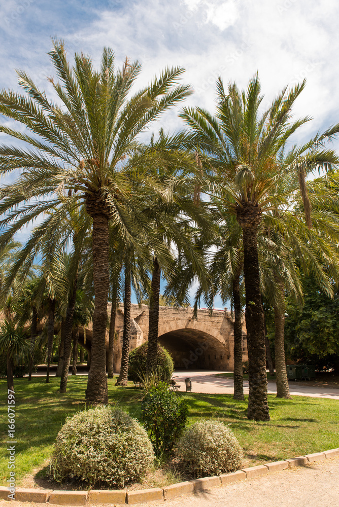 Turia Park Valencia