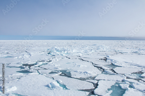 Arctic sea ice. Fototapet
