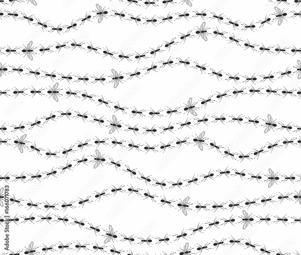 Seamless background with ants. 