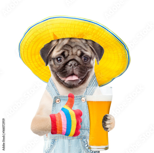 Funny puppy in summer hat with beer showing thumbs up. Isolated on white background © Ermolaev Alexandr