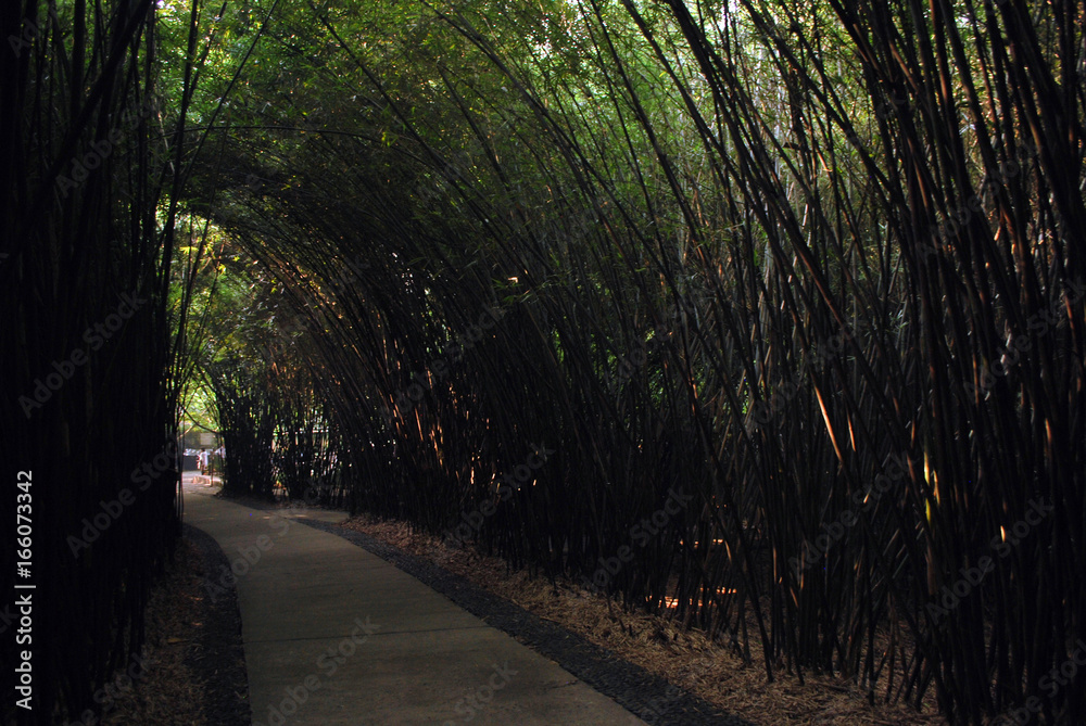 Fototapeta premium Chengdu park