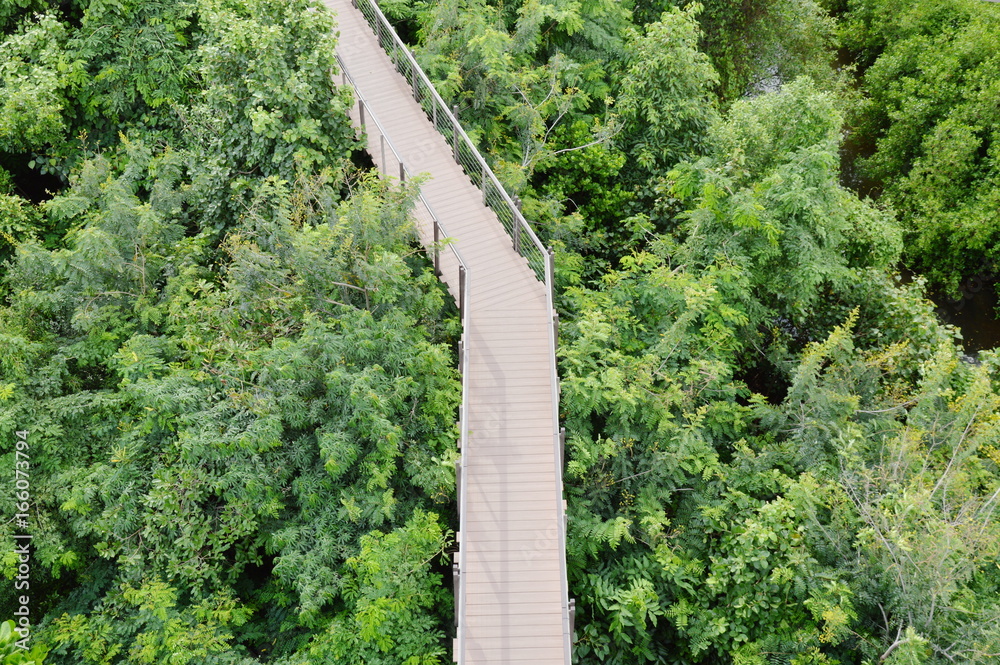 wooden walkway for looking view over forest wooden walkway for looking view over forest