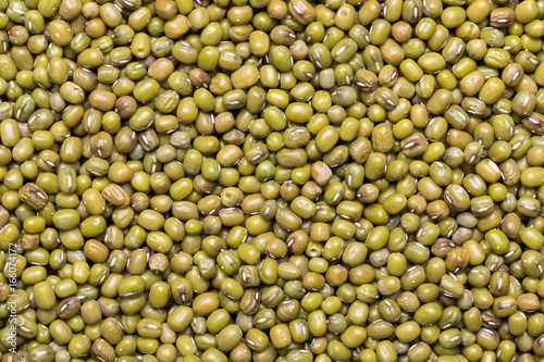 Assortment of Beans - Mung Bean
