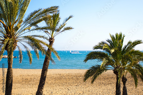 Fototapeta Naklejka Na Ścianę i Meble -  palm trees on summer beach in Spain